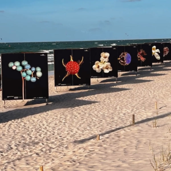 3mm EcoACM Economy Hoarding - Aluminum Composite Panel - White Matt/Primer - 0.12mm -  0.15mm Skin